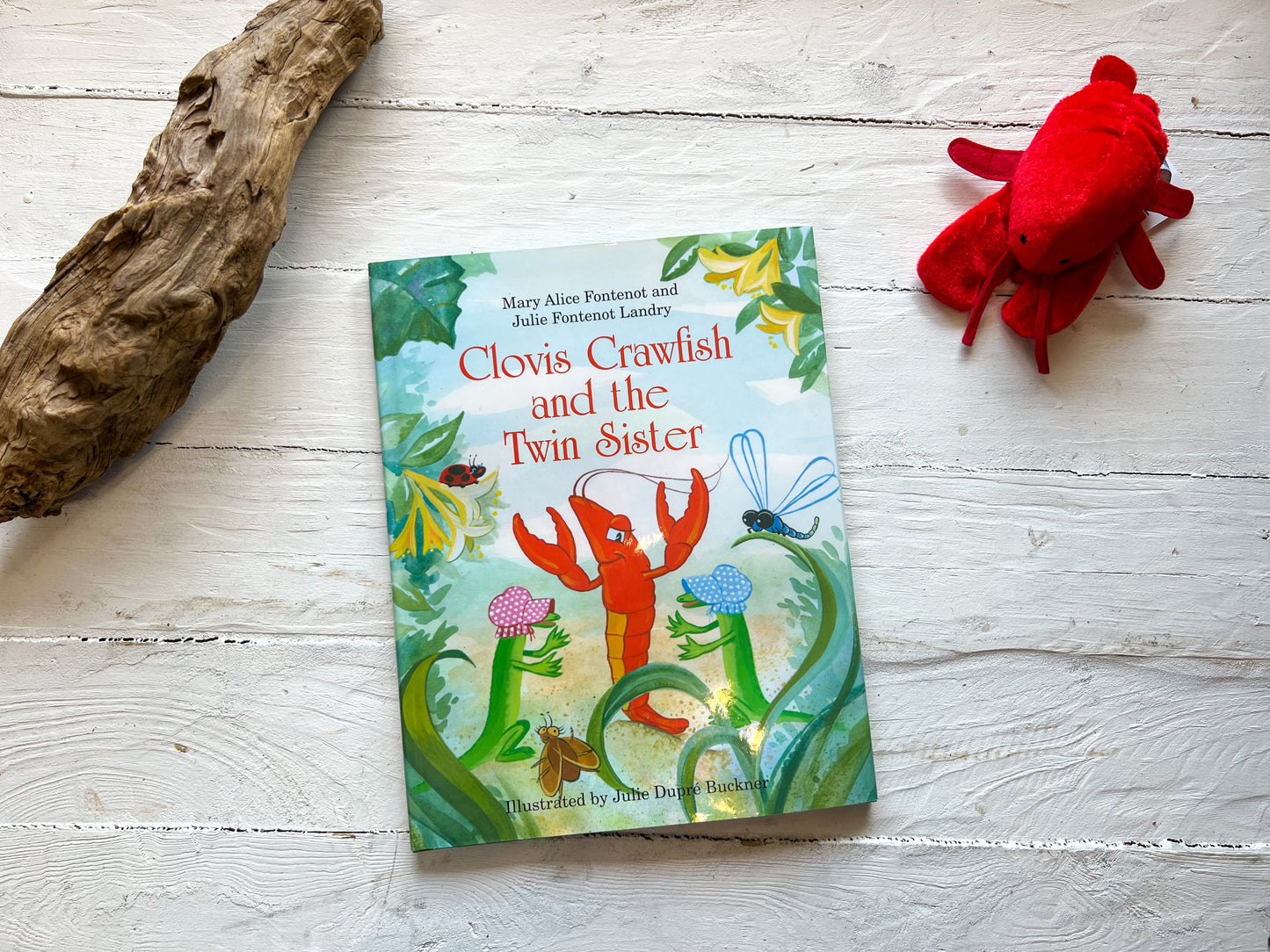 Clovis Crawfish and the Twin Sister Book