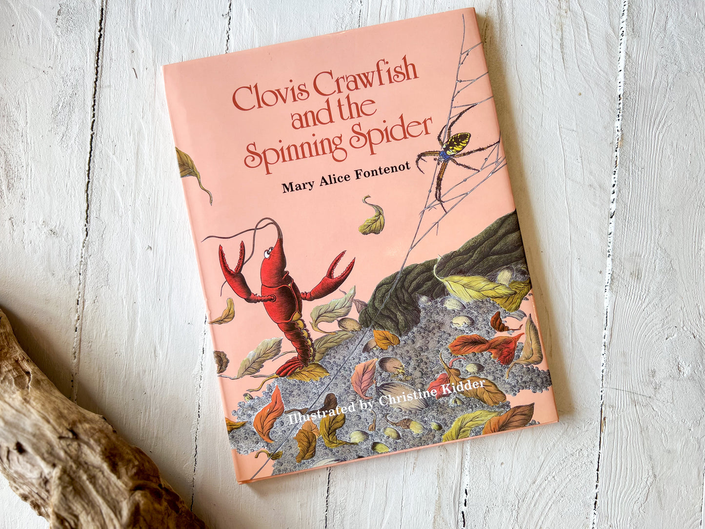 Clovis Crawfish and the Spinning Spider Book