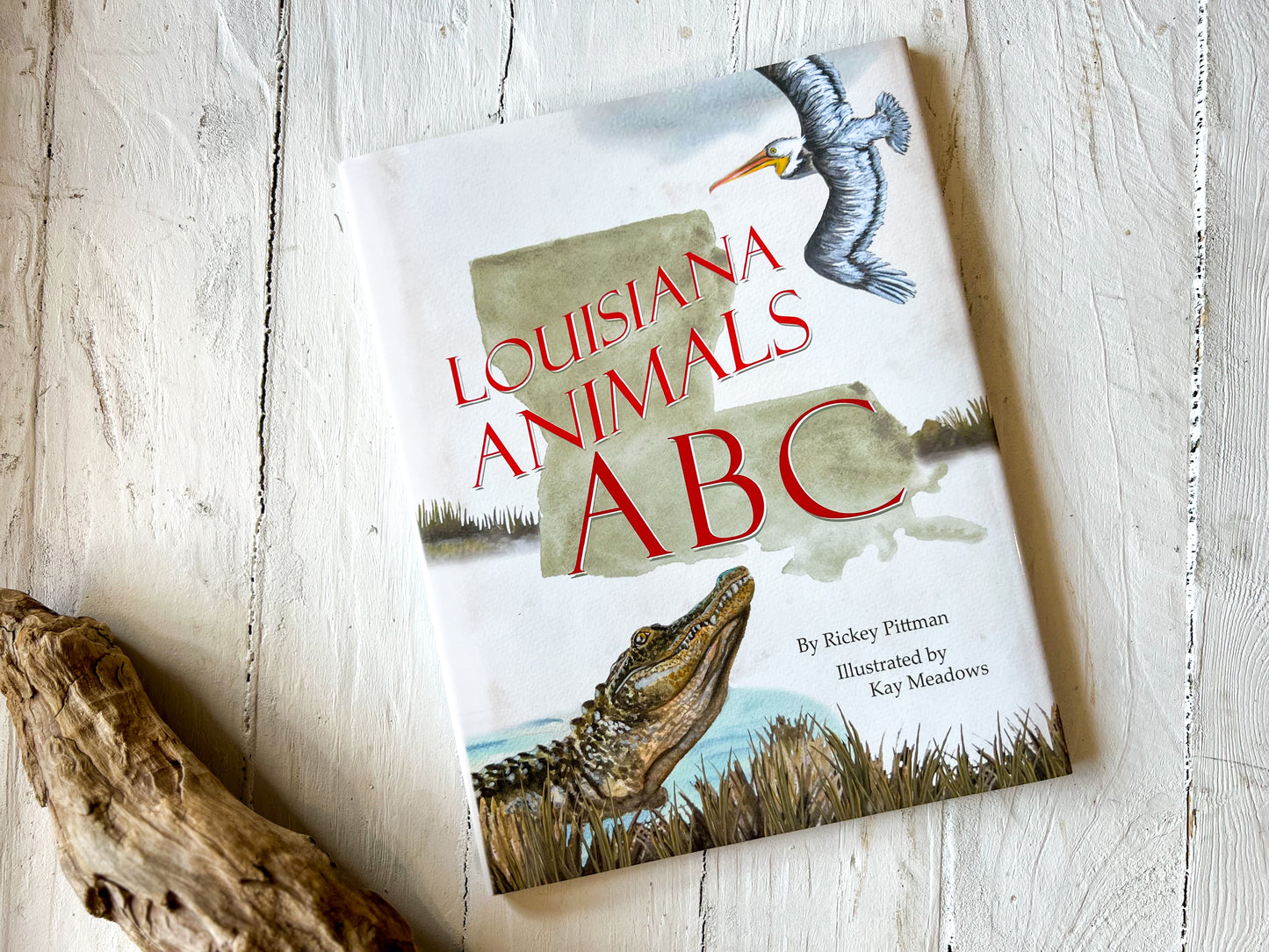 Lousisana Animals ABC Book